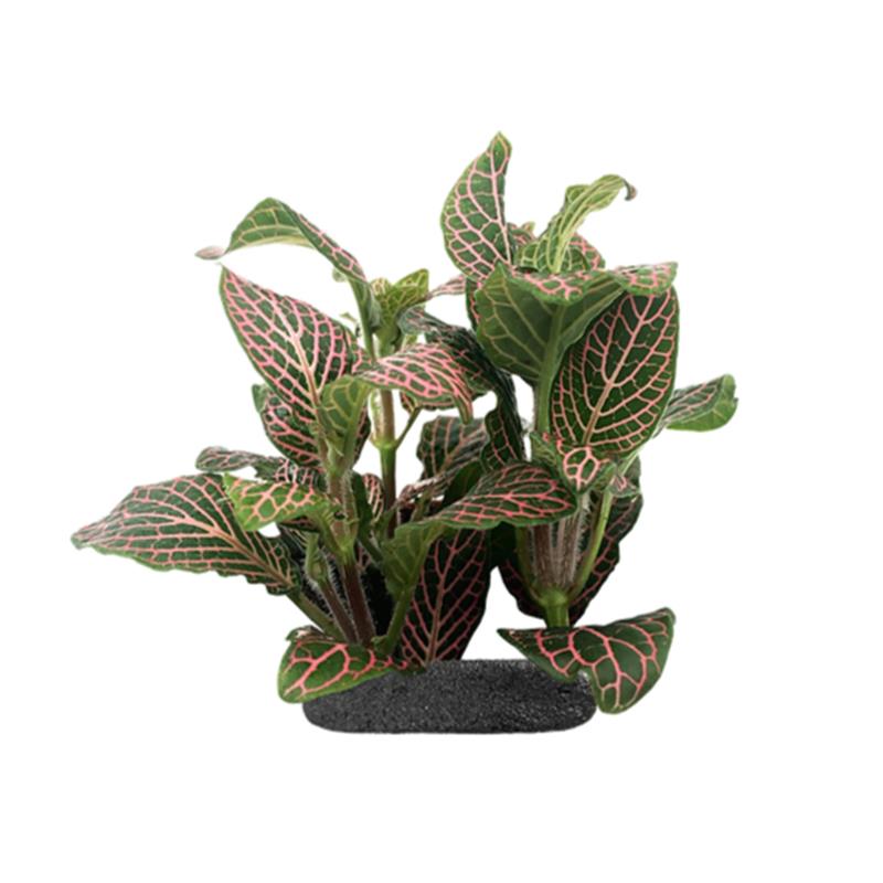 Planta terariu WIO Nerve Plant Pink Angle Fittonia - imagine 3